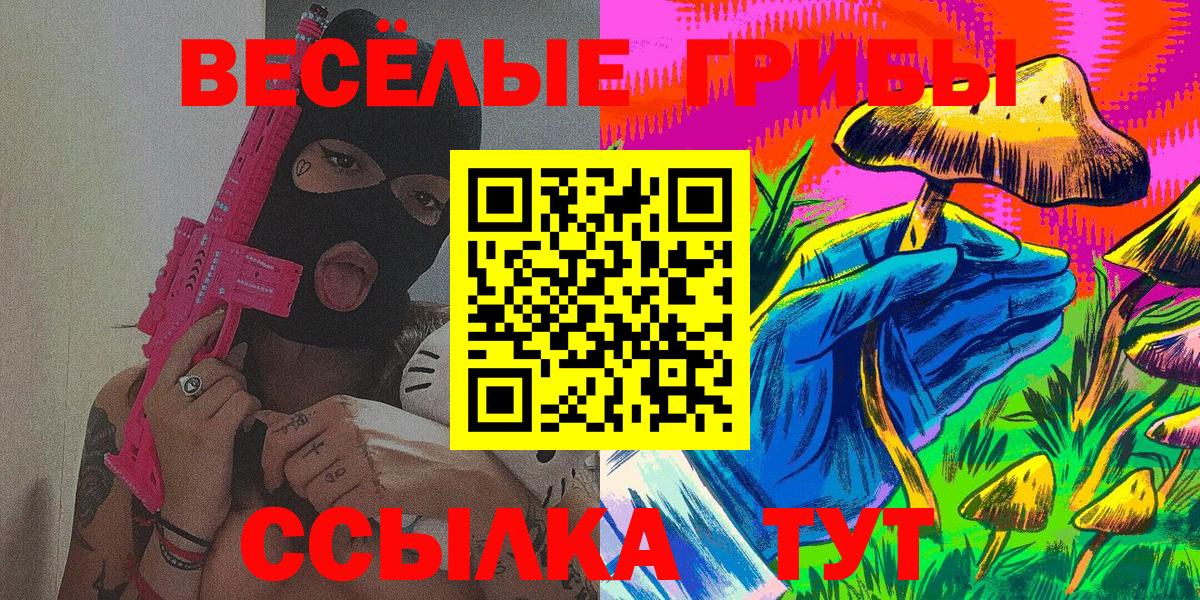 Курчалой  Галлюциногенные грибы MAGIC MUSHROOMS  Вход с VPN  Галлюциногенные грибы Magic Shrooms 